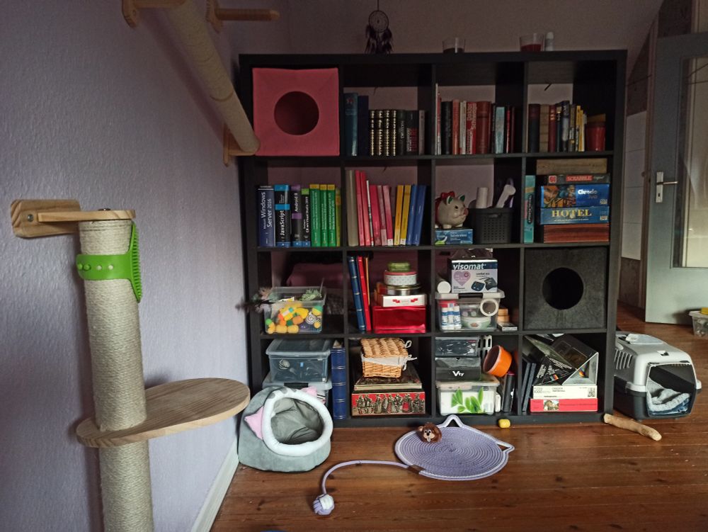 Zusehen ist ein schwarzes Kallaxregal, jedes Fach ist mit etwas vollgestopft. 
Oben links (rosa)und unten rechts (schwarz) sind Katzenhöhlen. 

Um das Kallax herum stehen diverse Katzenspielzeuge wie eine lila Kratzmatte. 