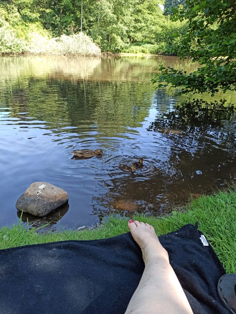 Foto von meinen rechten Fuss auf einer schwarzen Decke mit Mama Ente und ihren zwei Küken im Hintergrund schwimmend. 