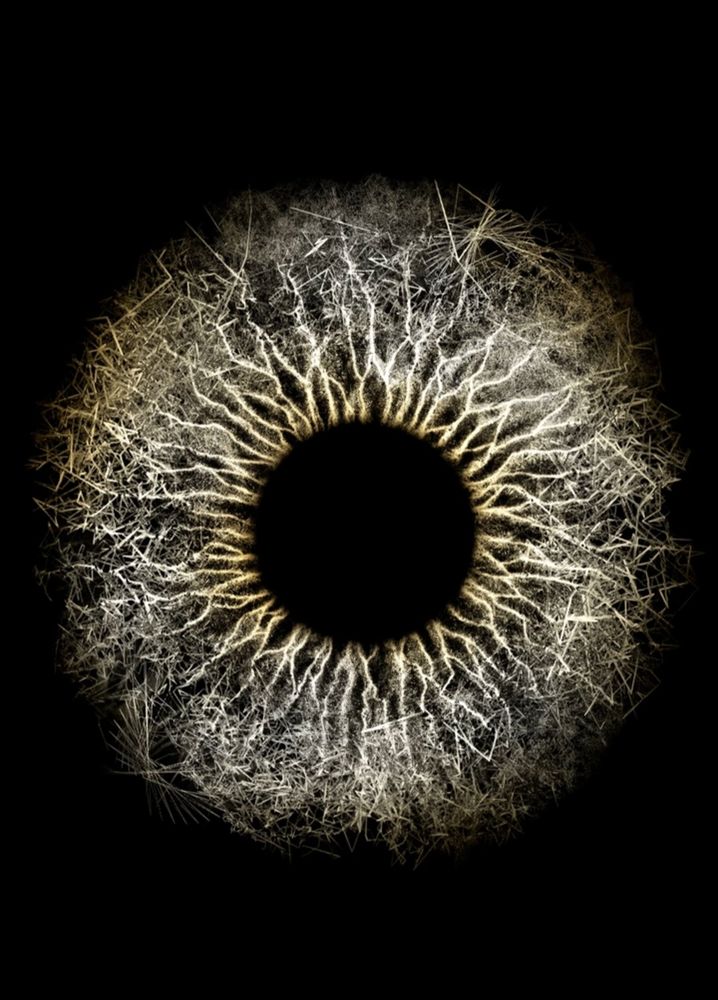 The image shows a visualization of chromosomes, part of Max Cooper's Chromos project.

Artist and concept:

The project is a collaboration between electronic musician Max Cooper, VFX specialist Andy Lomas, and scientists at the Babraham Institute in Cambridge.

Scientific basis:

It is based on data from chromosomal conformation capture experiments that visualize the folding and structure of DNA molecules inside a cell.

EP and visual elements:

"Chromos" is also the title of an EP by Max Cooper, released in 2017, which provides music to accompany these scientifically inspired visualizations.

Project goal:

The project aims to make the complexity and beauty of biological processes such as DNA folding accessible and to explore the connection between music and science.