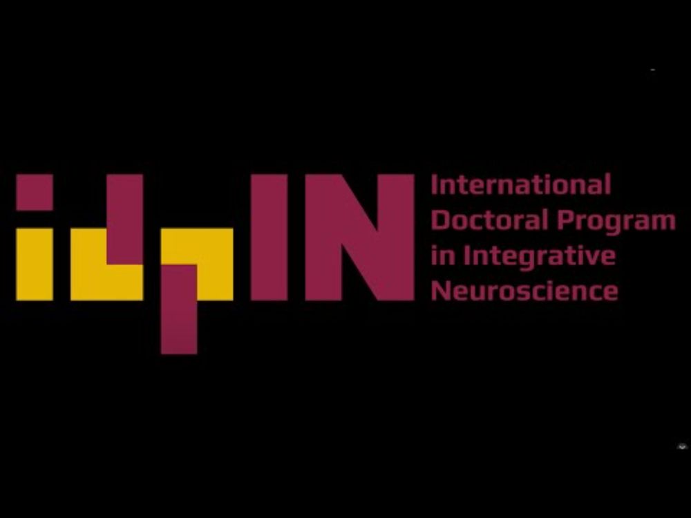 idPIN - International Doctoral Program in Integrative Neurosciences
