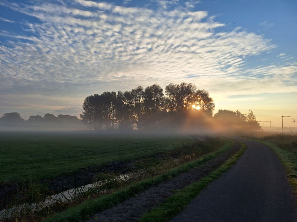 De opkomende zo'n staat achter een groepje bomen en straalt over mist boven een weiland. Rechts op de achtergrond is de bovenleiding van de trein zichtbaar. De lucht is blauw met een grote groep kleine wolkjes.