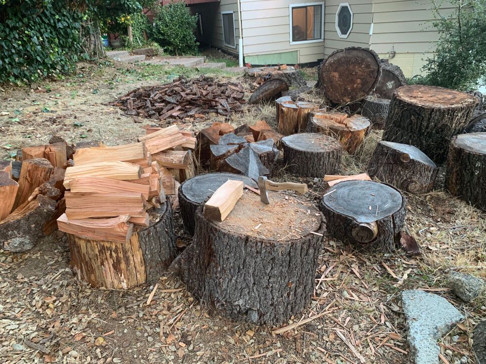 Woodpile in various stages of being split into firewood/kindling.