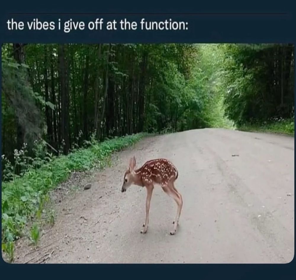 A white-tail deer fawn looking at the ground while being awkward and stout. Meme text reading “the vibes I give off at the function”
