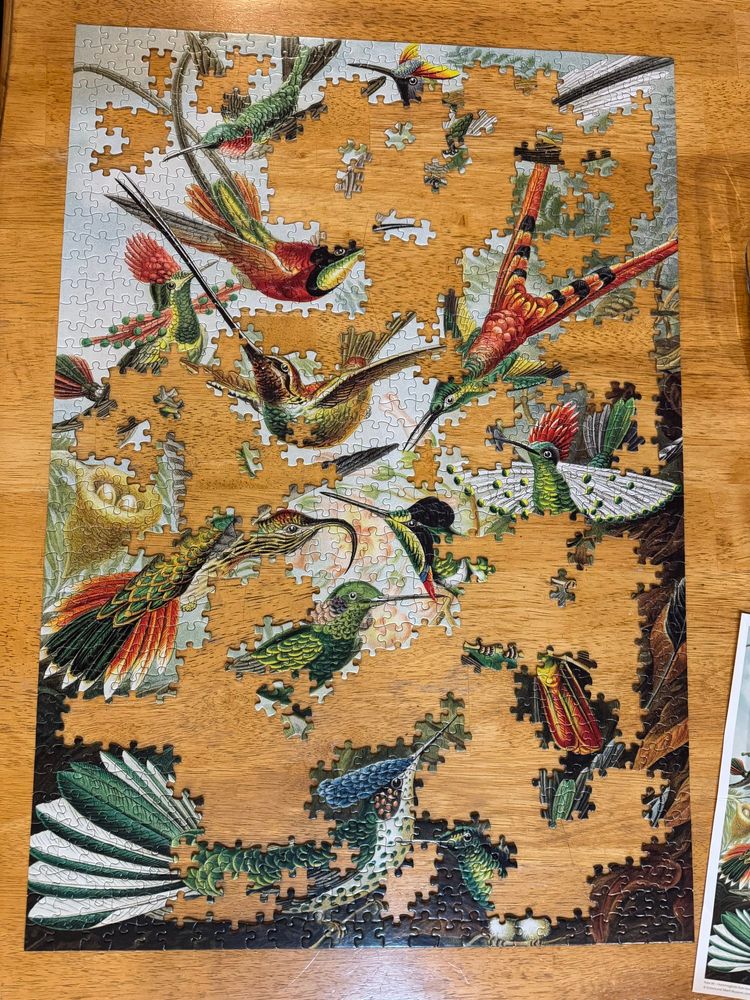 A 1000-piece paperboard jigsaw puzzle in progress: A painting of several colorful hummingbirds on a light table.