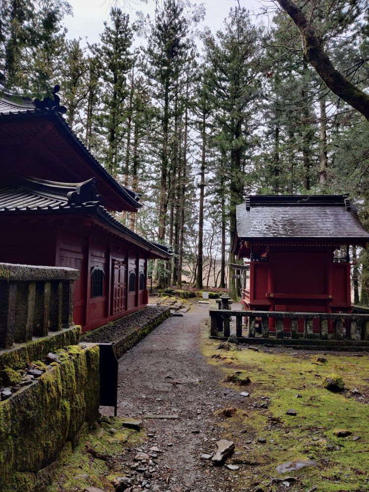 東照宮の後ろにある小さな神社。森の中で、背景に木々が写っている。