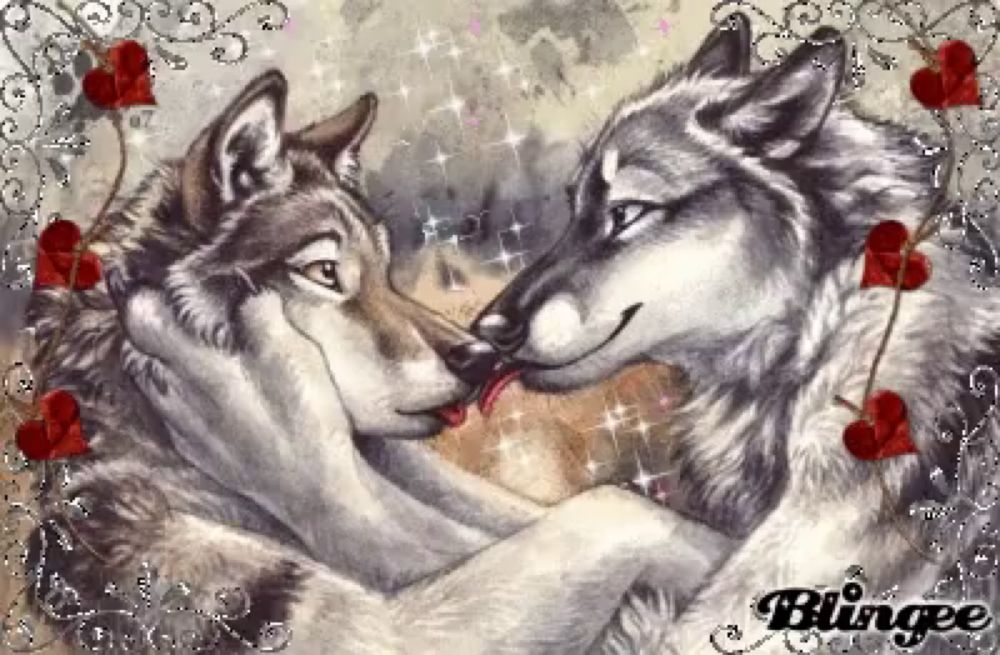 a couple of wolves are kissing each other with hearts in the background