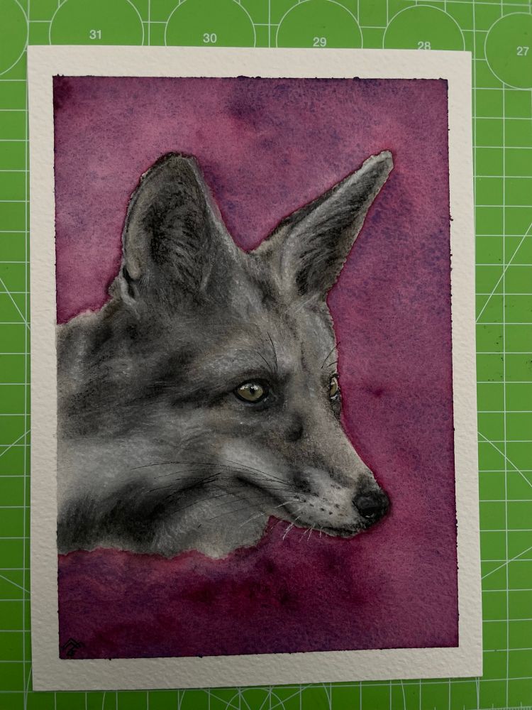 a charcoal fox looking to the right side of the paper with ears prick up on wild purple watercolour backround.
