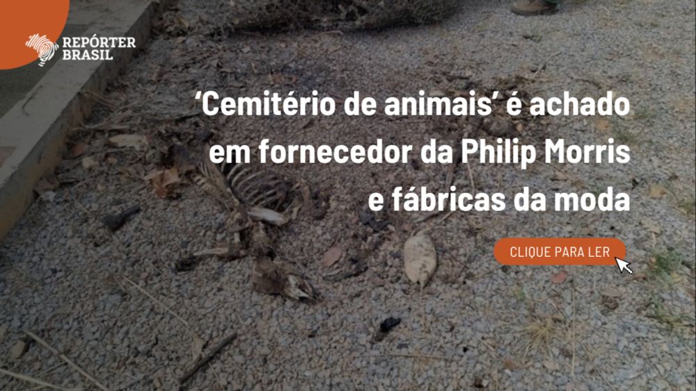 ‘Cemitério de animais’ é achado em fornecedor da Philip Morris e fábricas da moda