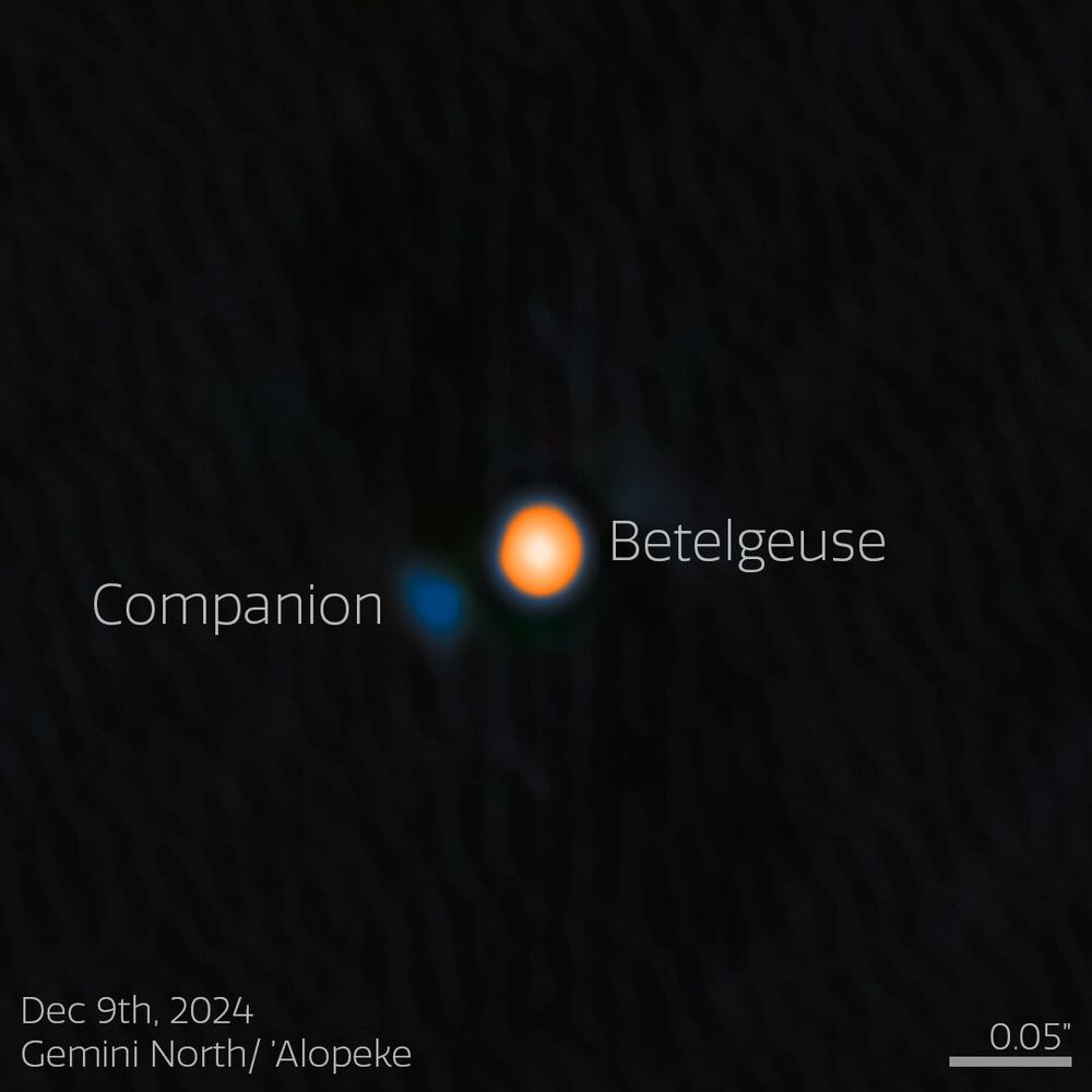 Image du communiqué de presse de NOIRlab révélant le compagnon de Betelgeuse, alpha Ori B. https://noirlab.edu/public/news/noirlab2523/

On voit la supergeante rouge au centre (un disque orange déformé vers le compagnon) et le compagnon à côté (en bleu, à 1-2 rayons stellaire, au sud-est).