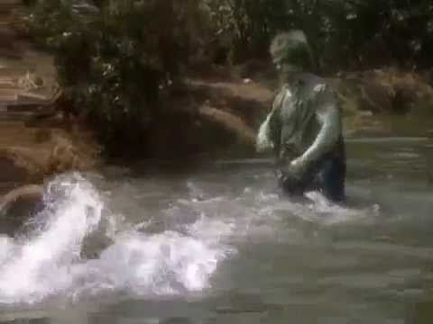 The Hulk launches a bear into space