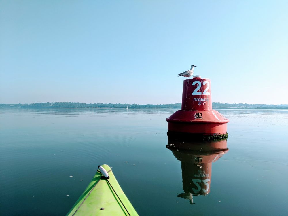 Kayaking off Alresford Creek, Colchester 