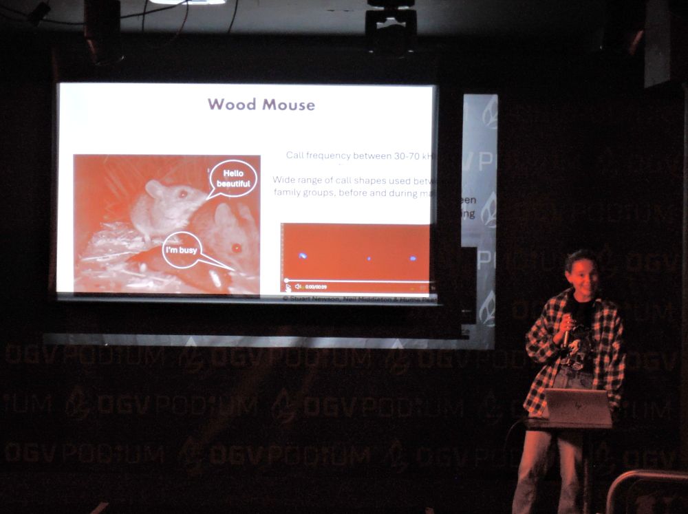 Presenter with microphone next to screen showing Wood Mice with speech bubbles.