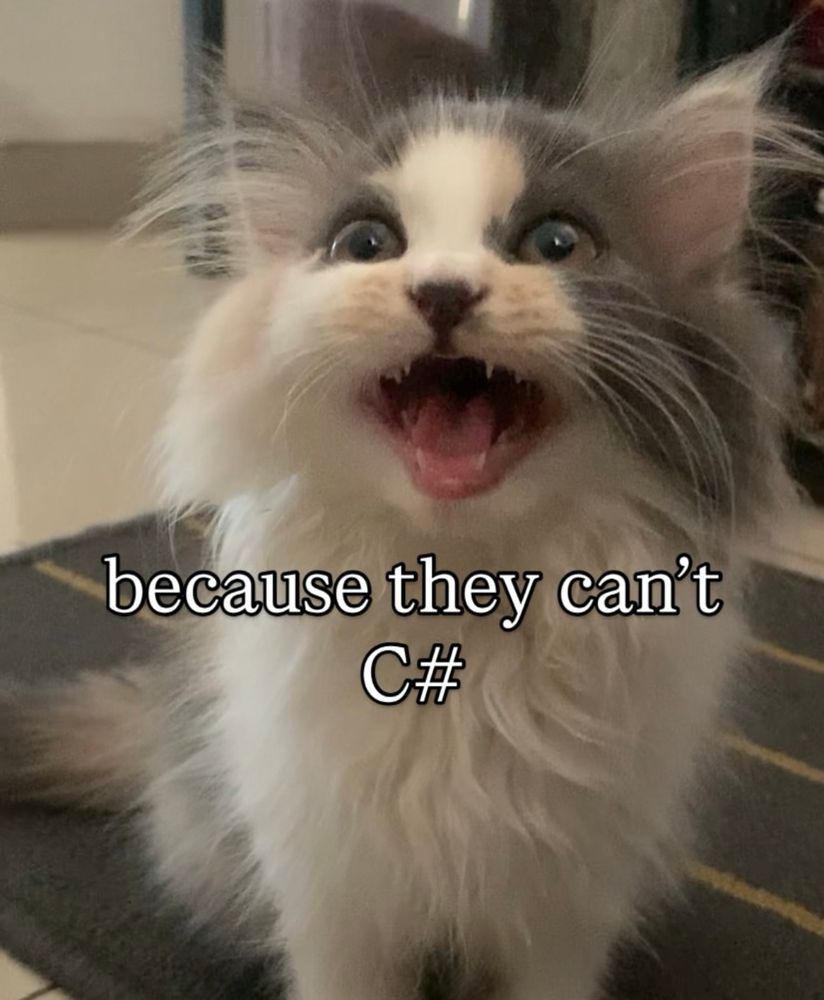 The white and gray fluffy cat stills its but it’s mouth is open now. The meme says “because they can't C#”