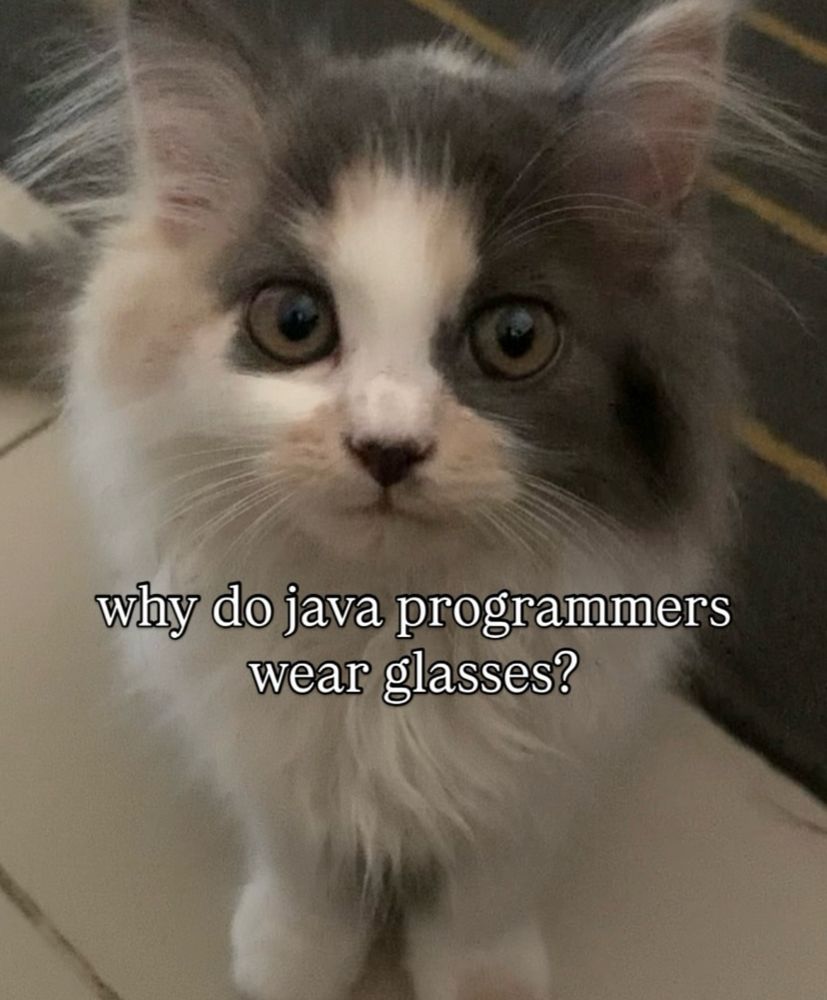 A white and gray fluffy cat sits staring at you. The meme says “why do java programmers wear glasses?”