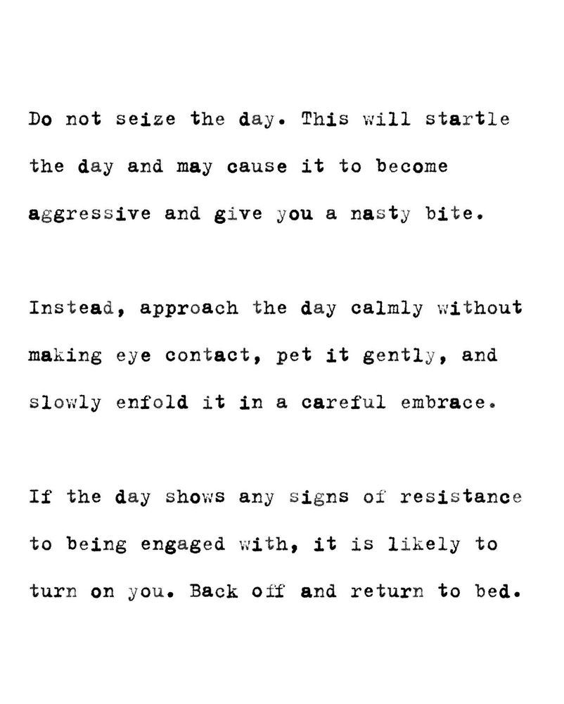 On a white background in typed text the meme says “Do not seize the day. This will startle the day and may cause it to become aggressive and give you a nasty bite.
Instead, approach the day calmly without
making eye contact, pet it gently, and slowly enfold it in a careful embrace.
If the day shows any signs of resistance to being engaged with, it is likely to turn on you. Back off and return to bed.”