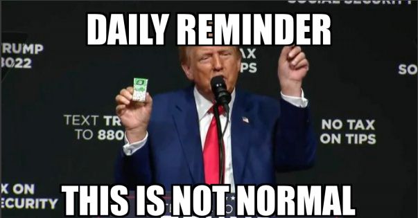 Picture of Felonious Fuckwit holding tic tacs in front of a microphone. Text above says "Daily Reminder."  Text on bottom says "This is not normal."