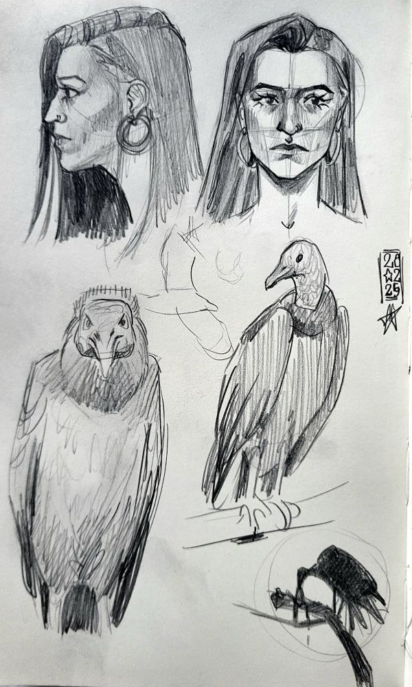 A sketchbook page. A the top there's a side profile and a front view portrait of a woman with sharp features. Below them are some sketches of black vultures