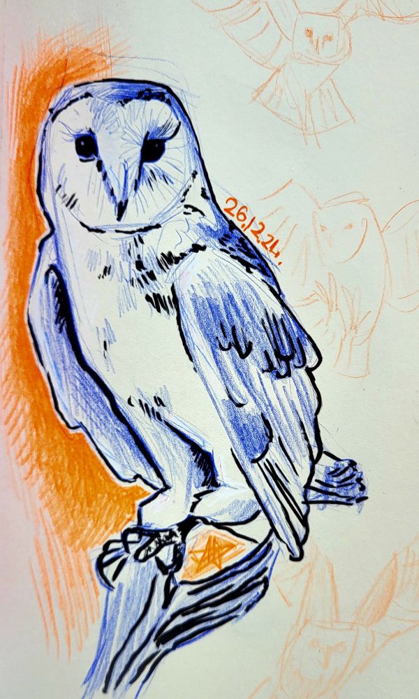 Sketch of a blue owl with black outline on an orange-ish background 