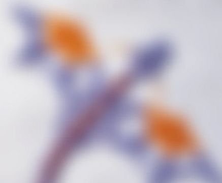 blurry image of a tatted dragon in purple and orange