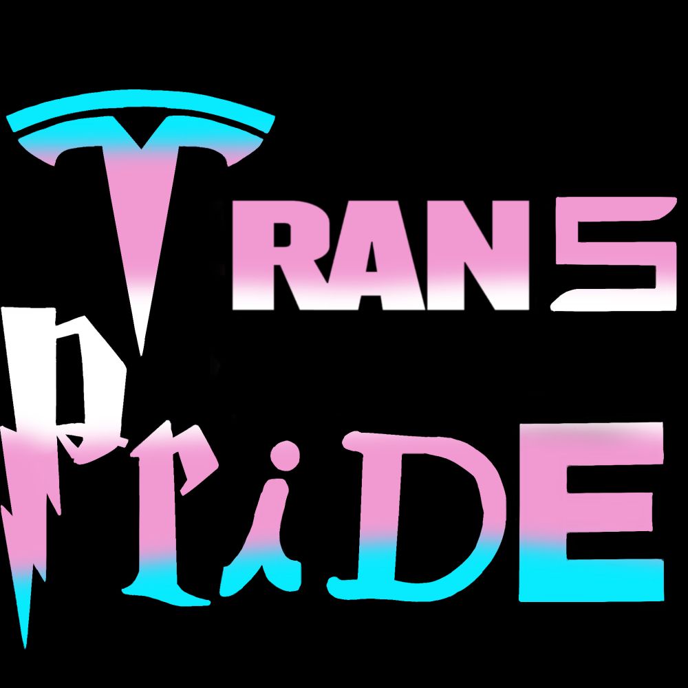 Trans pride in the font of the tesla t, ran from NRA, tesla S, Harry potter P&r, i from chik fil a, d from the proud boys and e from the trump logo, in trans flag colors