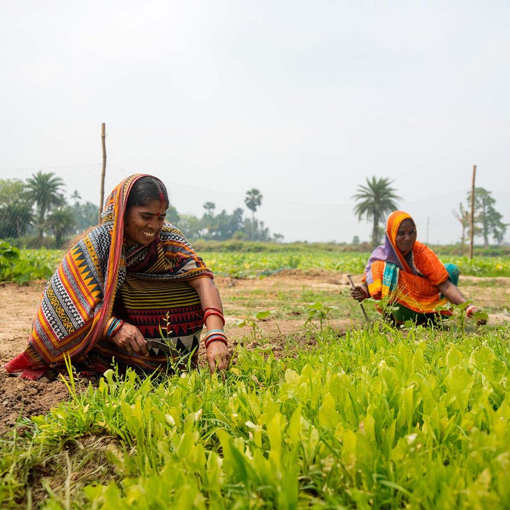 Image of two women in India farming