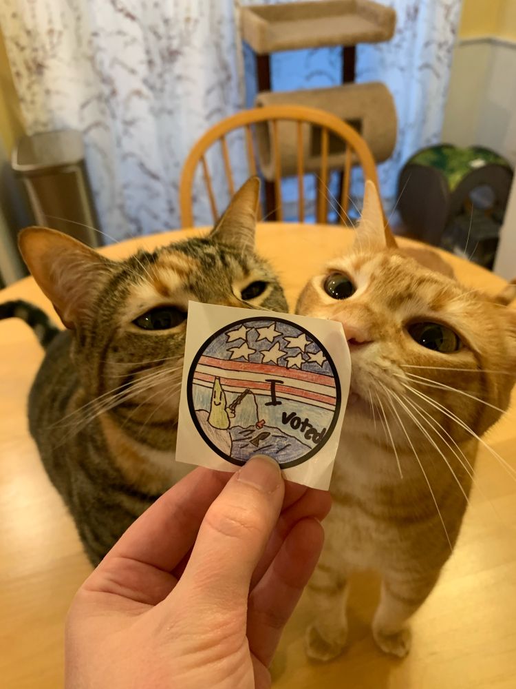 A gray tabby cat is on the left, an orange cat is on the right. They are standing on a table with an “I Voted” sticker held in front of them