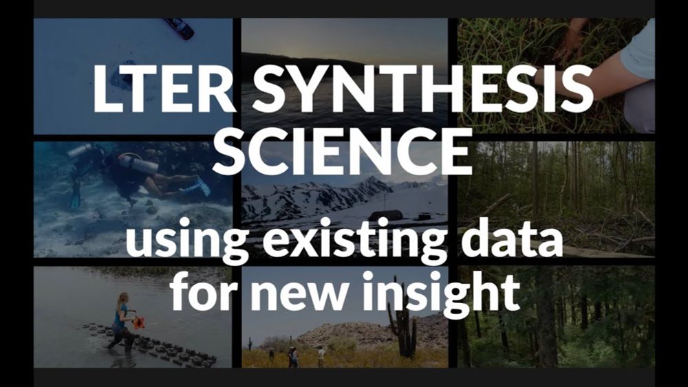 LTER Synthesis Science: using existing data for new ecological insight