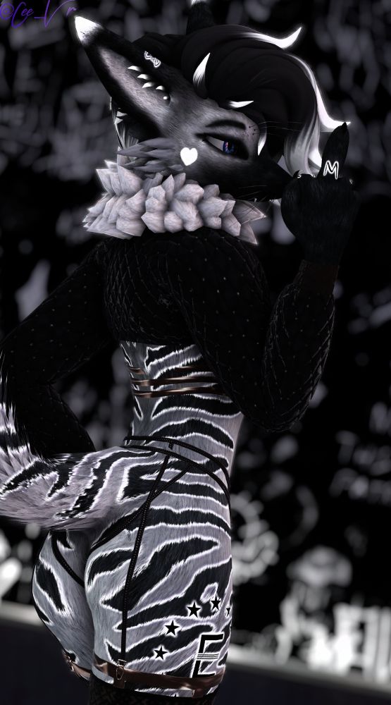 I stand sideways and look over my shoulder. I lift one hand and raise my middle finger. I show off my black and white outfit as striped tail curves behind me. I look calm, but you can tell I’m trying to tease you~