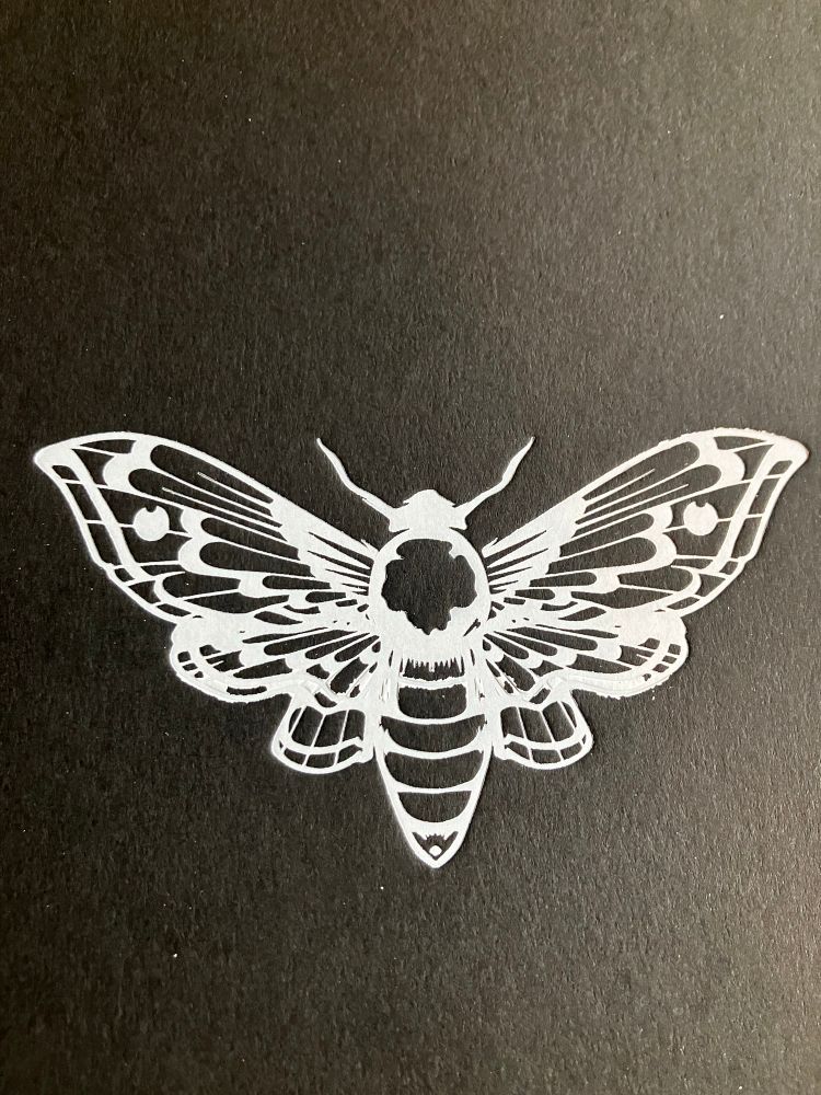 A white stamped moth on a black book cover