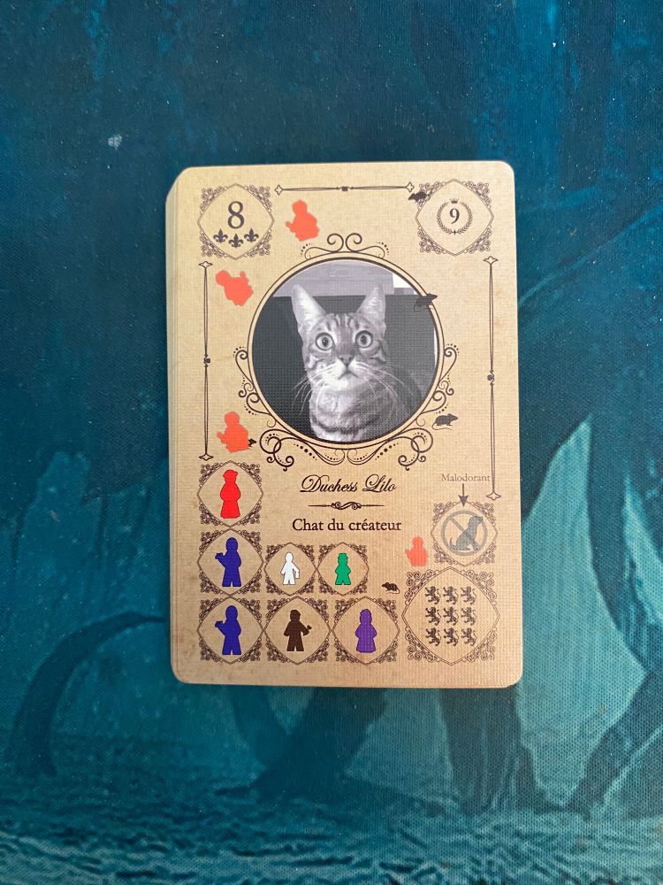 Carte « Chat du créateur »