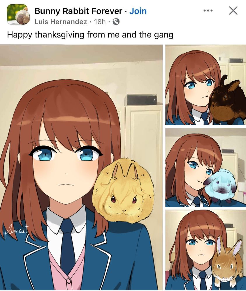 Fb post from Anzu with Ra*bits bnuys on her shoulder. Text reads "Happy thanksgiving from me and the gang" 