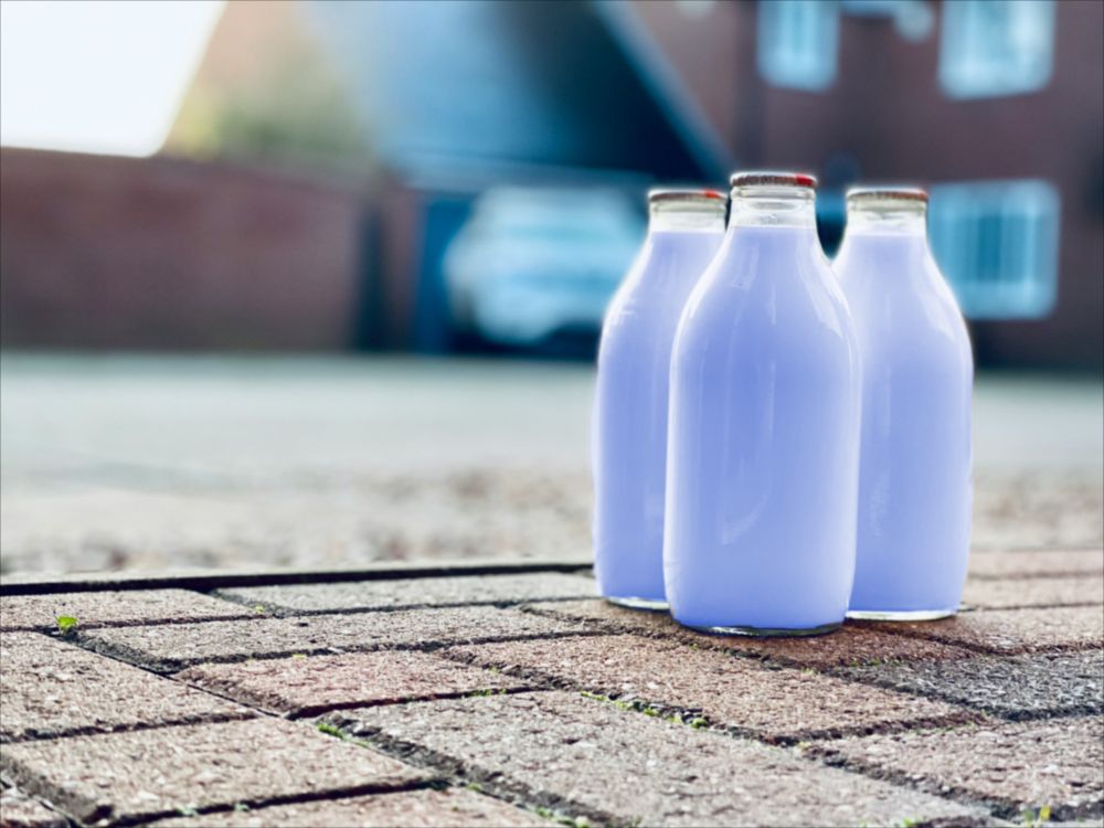 A trio of blue milk bottles sits on a driveway