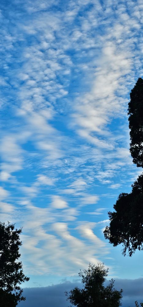 Cool clouds over Mendocino 