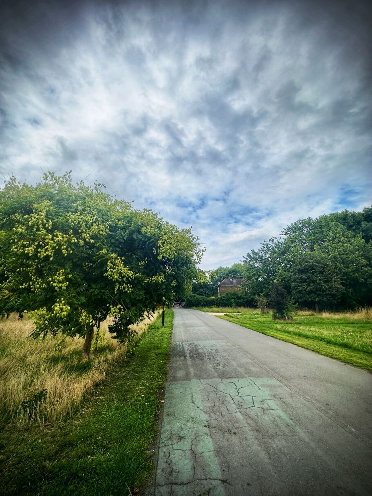 The way do the river with the golden rain tree on the left 