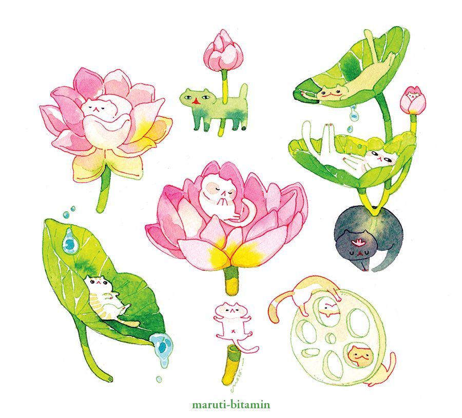 Cats, born of lotus
Resting on the petals and pads
They are all Ph. D. in rest and relaxation