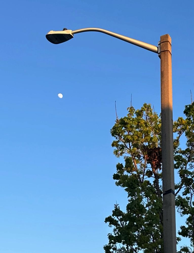 Post image (had no alt text on Bluesky)