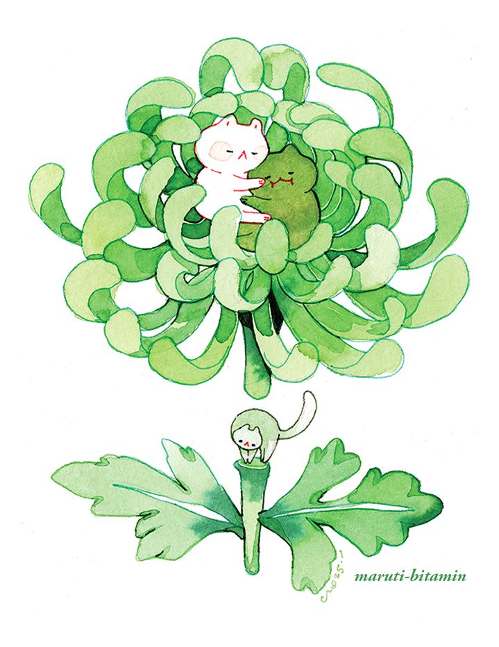 cats nestled amongst the petals of the chrysanthemums. 