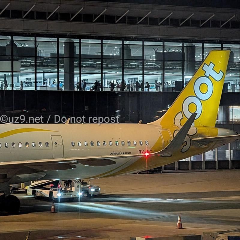 エアバスA321neoさん。よろしく～🫶