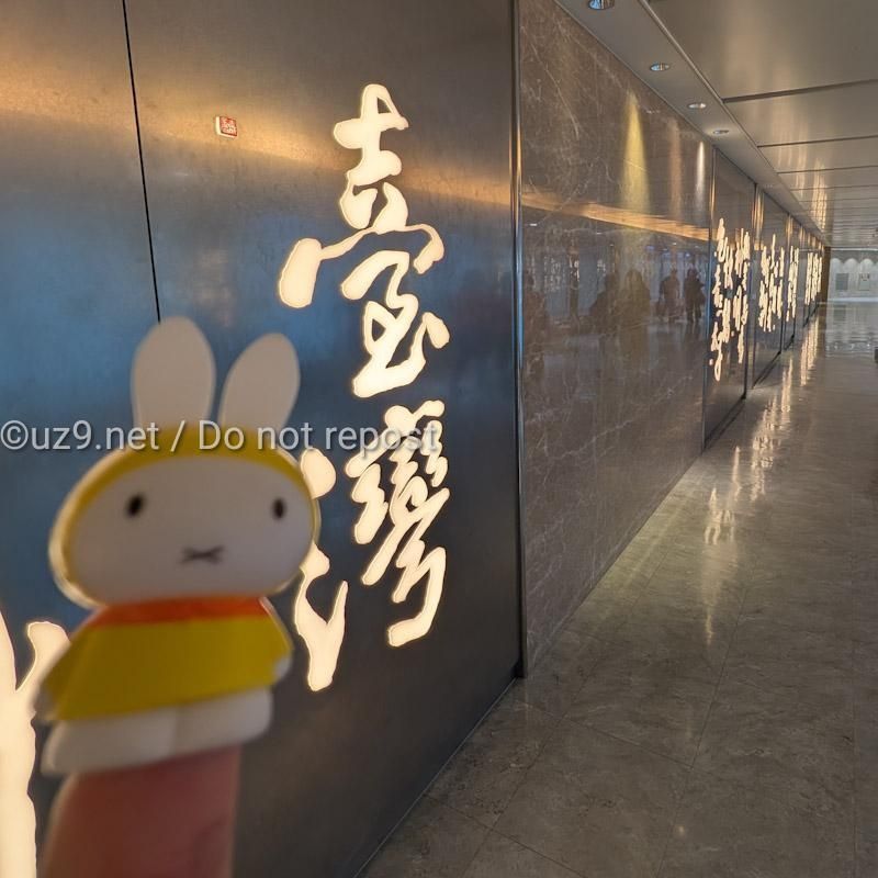ここの廊下、臺灣の文字の前で、自撮り写真撮ってる人、多いんだよね。
代理で。