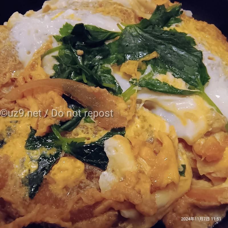 おそば屋さんのカツ丼、和風出汁がたまらん。
