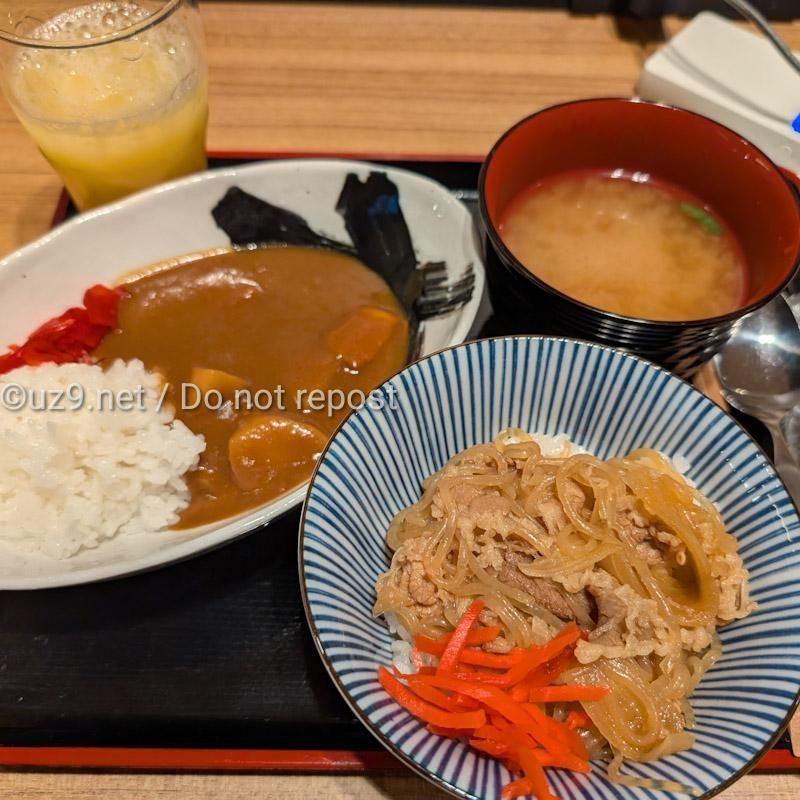 まあ、一応、ラウンジカレーおじさんにはなれる。
そりゃ、レトルトカレーとJALカレーを比較するのは筋違いだけど、、、

ボンカレーはどう作ってもうまいのだ(c)ブラックジャック

を、地で行くお味。