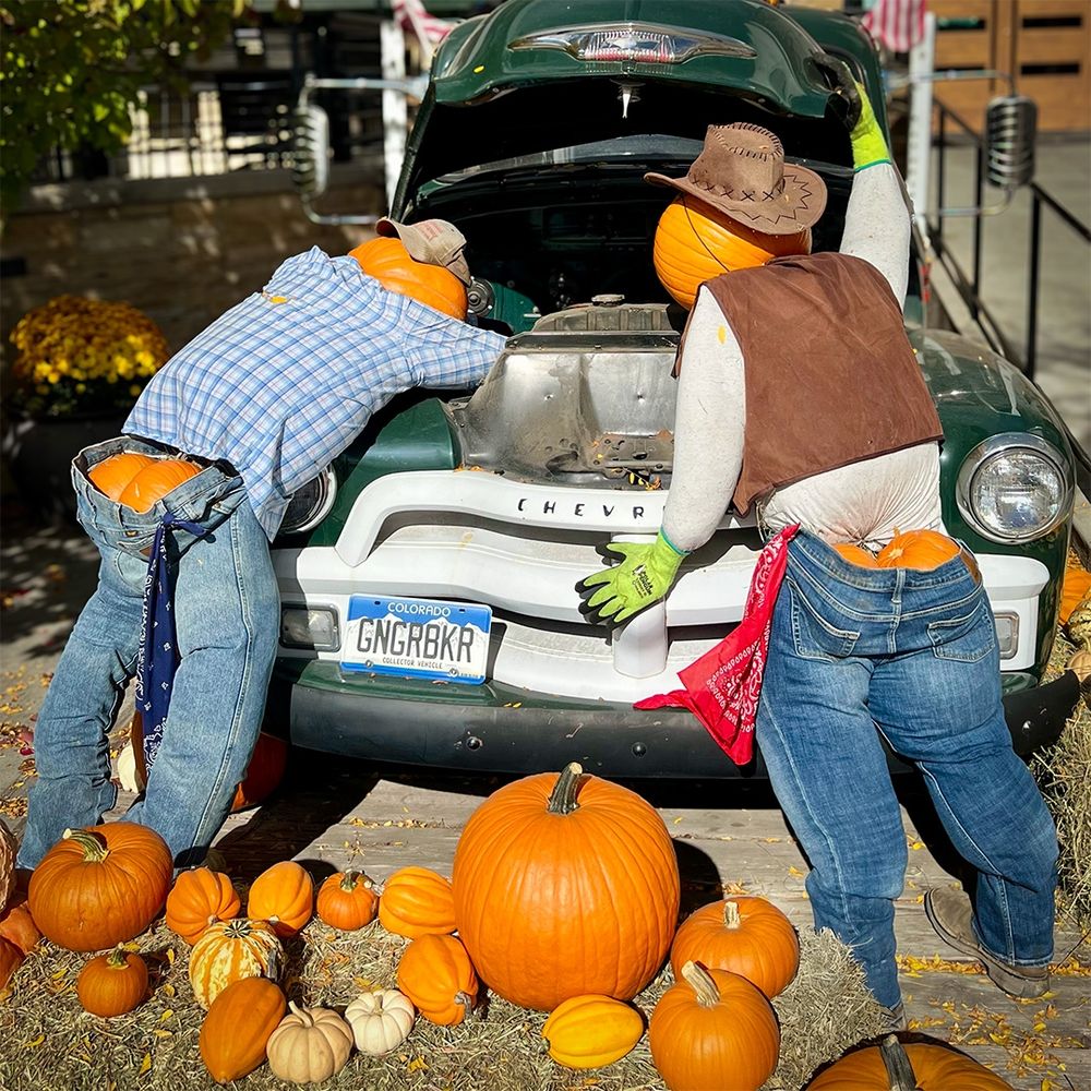 Halloween display by Ginger & Baker in Fort Collins, CO: Pumpkins are stuffed into jeans, shirts, and cowboy hats to look like humans fixing an old green Chevrolet pickup truck. The two "mechanics" are bent over the engine, with their jeans falling low, showing their "butts." 