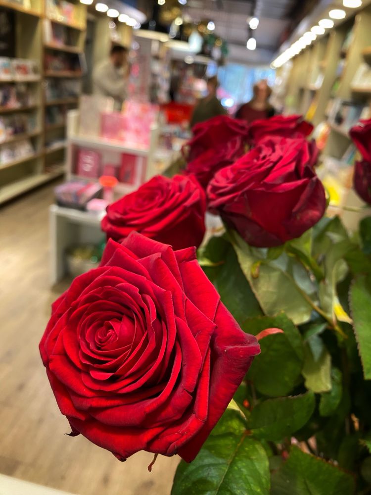 Rote Rosen im Buchladen 