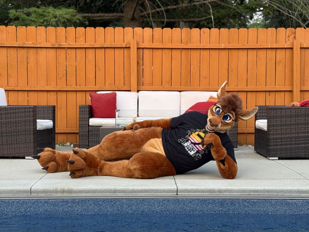 The roo lounges poolside!