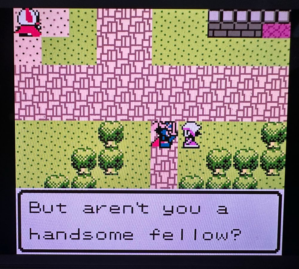 The villager the hero talked to saying “But aren’t you a handsome fellow?”