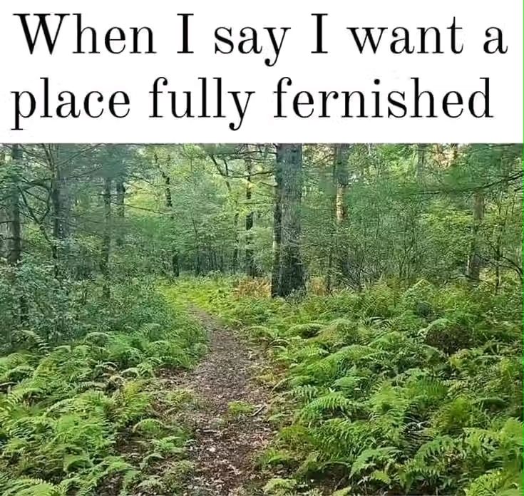 A fern-filled woodland. Caption says, "When I say I want a place fully furnished."