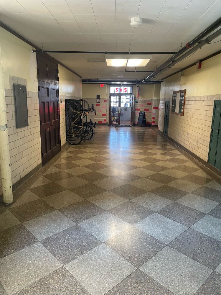 An old high school hallway in the Bok Building in Philadelphia, with a cat sitting calmly at the end of the hall in front of a hair salon, looking at the photographer.