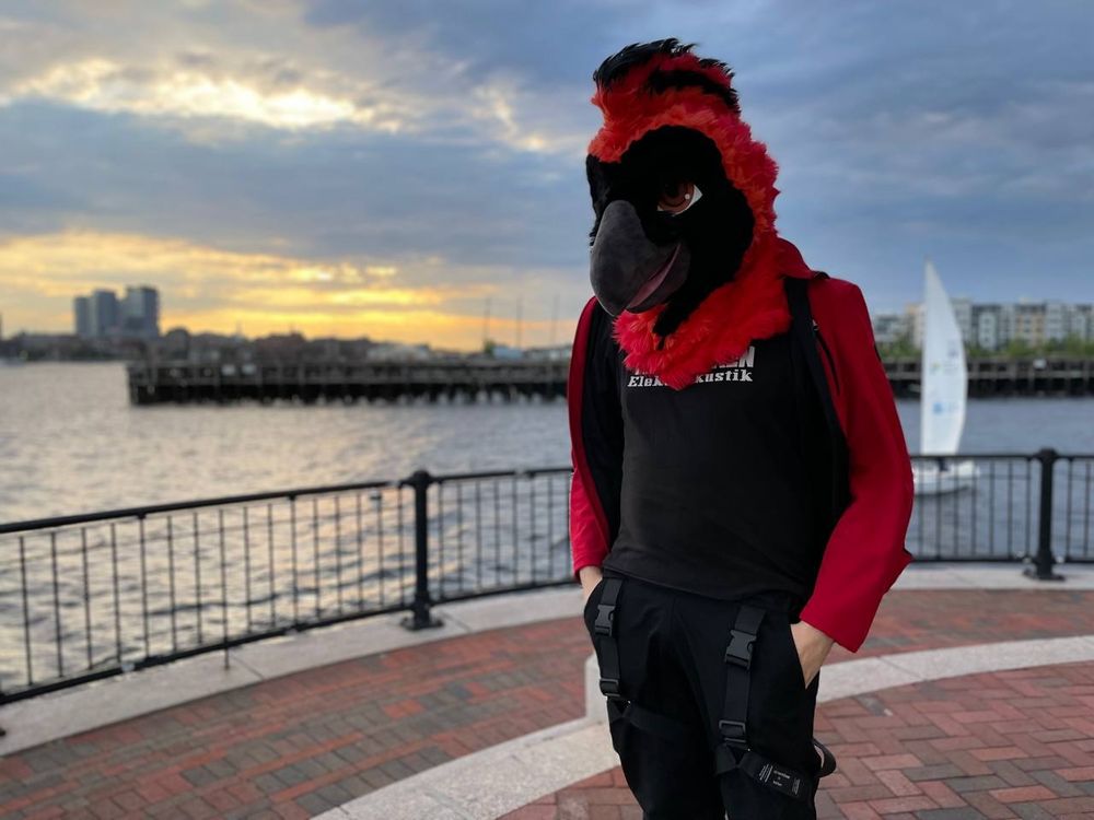 Ceol the Cardinal posing in front of a sailboat launch on a harbor pier