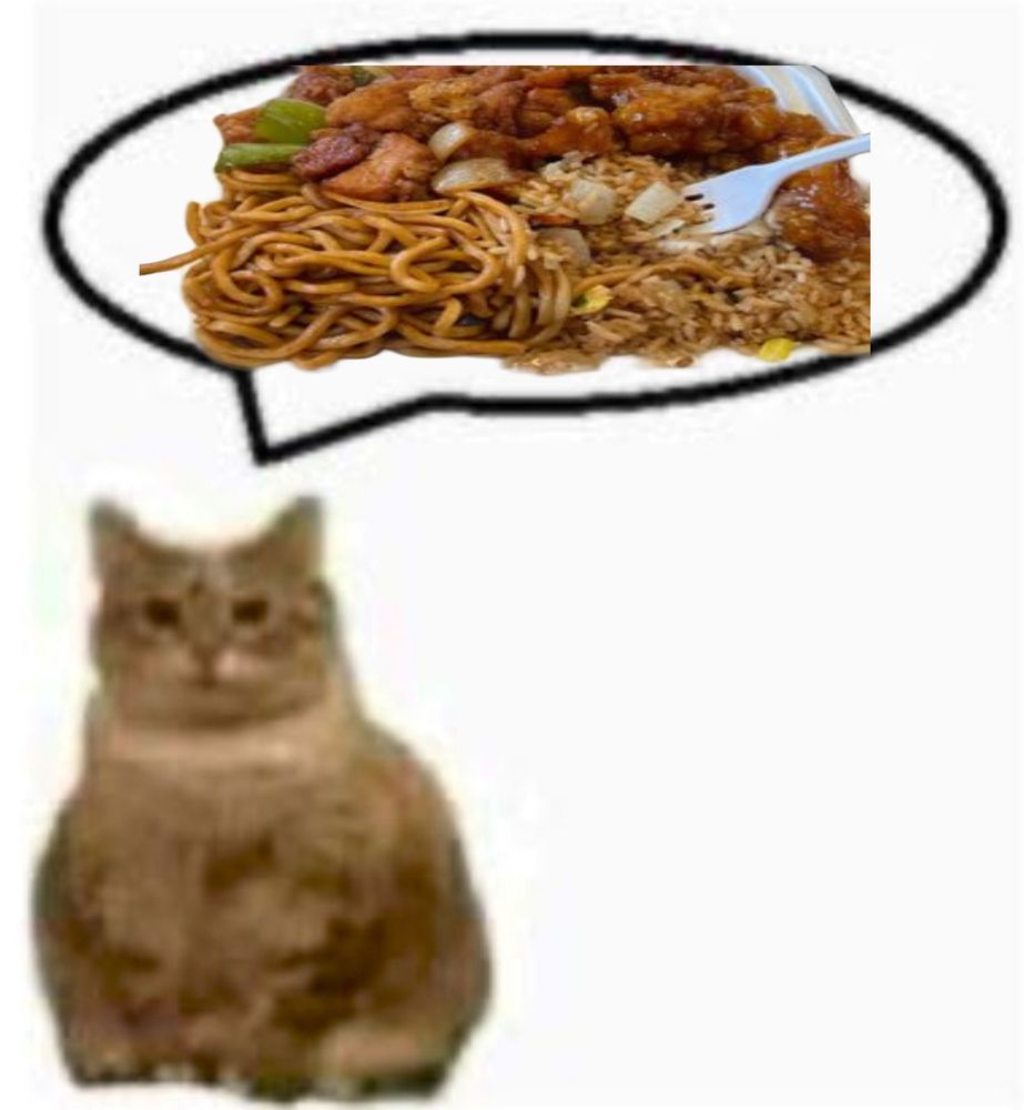 A low quality image of a fat orange cat with a speech bubble above him asking for Chinese food (chow mein noodles, fried rice, orange chicken, veggies)