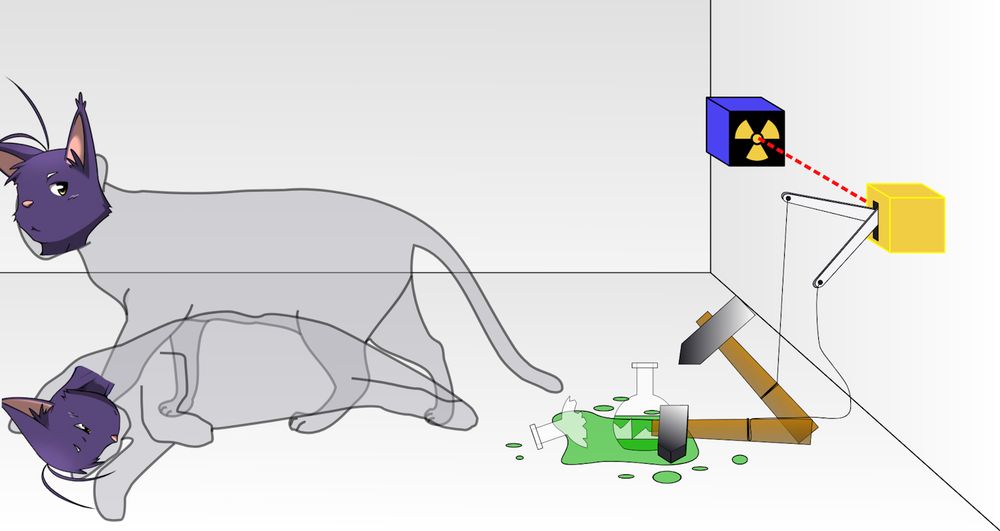 Schrödinger's cat diagram with Shin Morenatsu acting as the cat